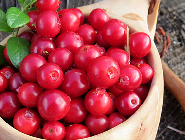 Chutney aux airelles rouges