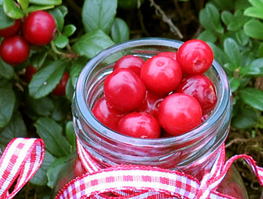 Lingonberry nut bread